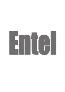 Entel Digital Radios